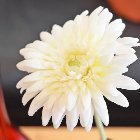 Haus Moewe - Apt. 013 Sellin (Rugen)